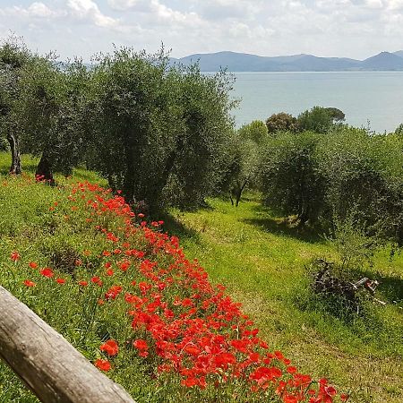 Antica Casa Di Famiglia 호텔 카스틸리오네델라고 외부 사진